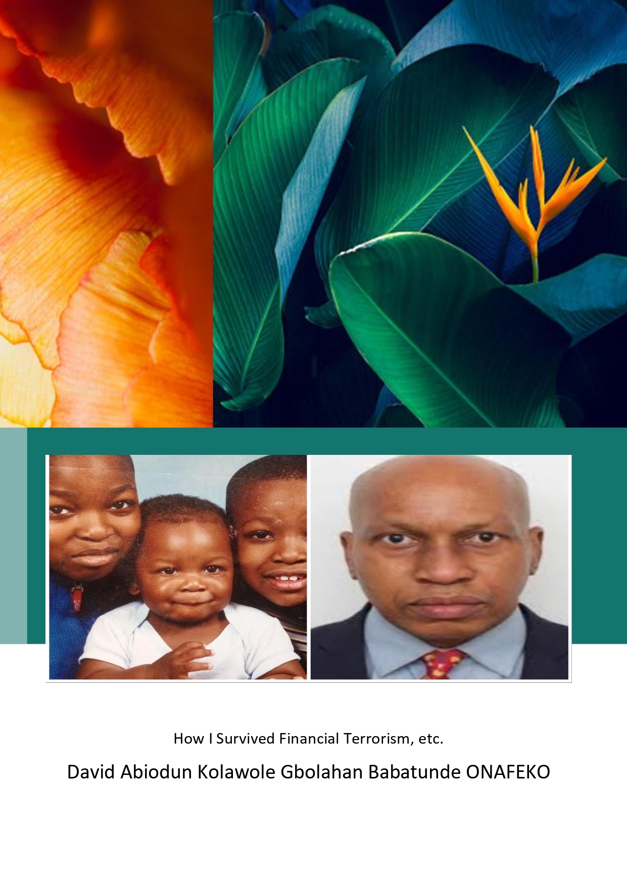 How I Survived Financial Terrorism- David Abiodun K.G.B. Onafeko_2